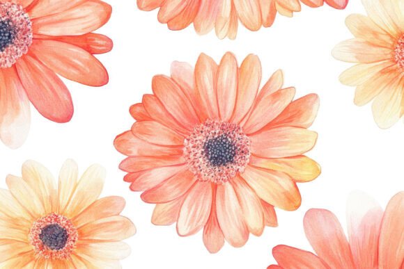 Gerbera Flower Background: A Burst of Floral Energy